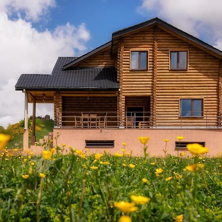 Snow Time Eco Chalet Gudauri Dış mekan fotoğraf