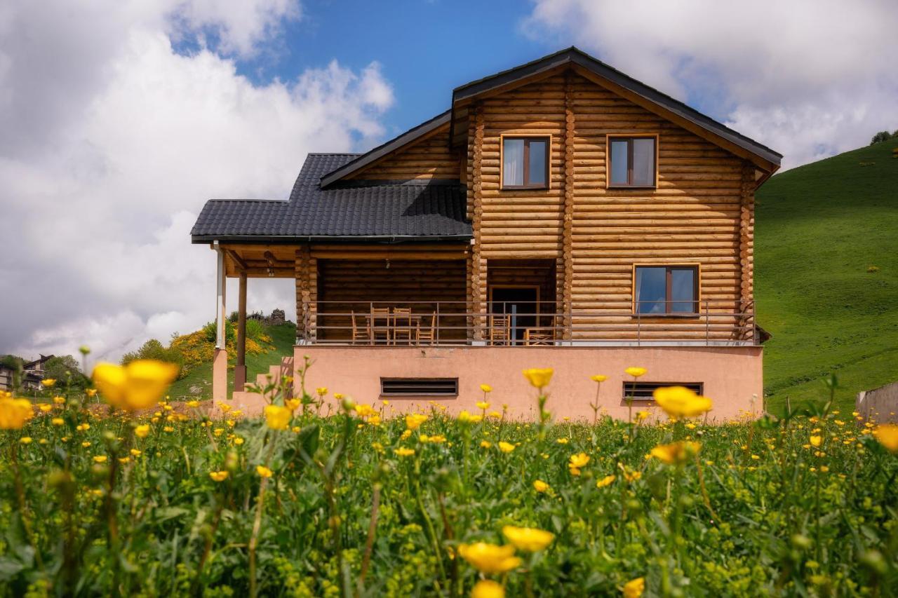 Snow Time Eco Chalet Gudauri Dış mekan fotoğraf