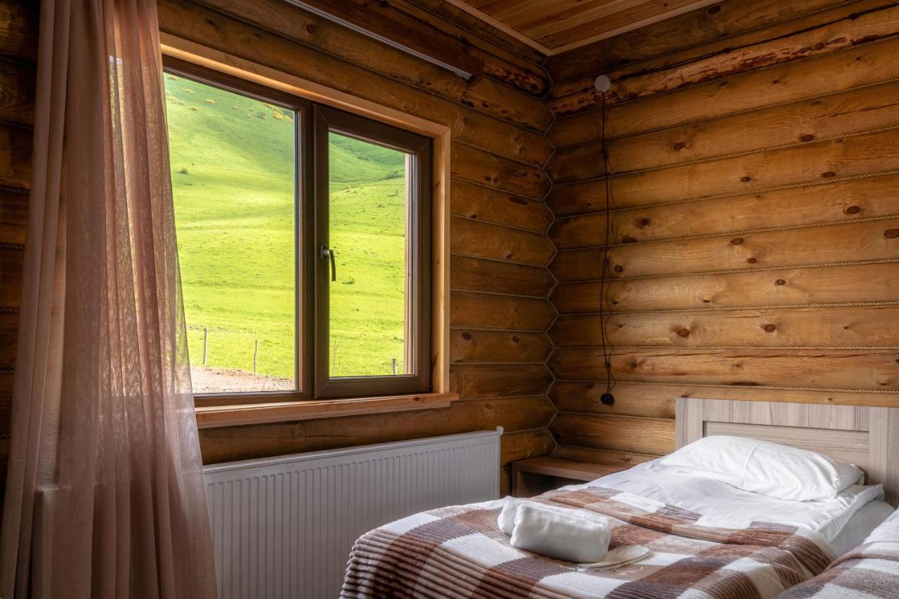 Snow Time Eco Chalet Gudauri Dış mekan fotoğraf